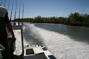 Cairns Estuary Fishing