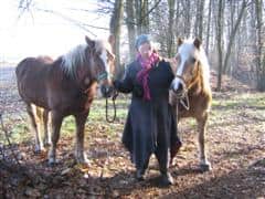 horse drawn caravan