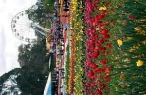 Canberra Floriade