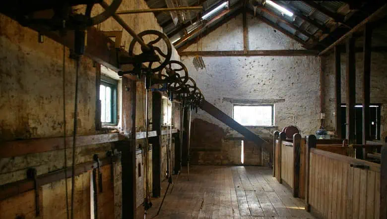 shearing shed