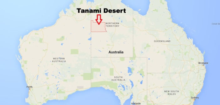 tanami desert