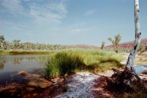 West MacDonnell Ranges