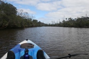 Donnelly River